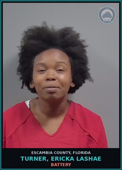 CCW arrest card for TURNER, ERICKA LASHAE in Escambia County: BATTERY