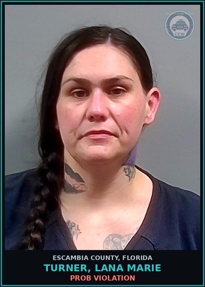 CCW arrest card for TURNER, LANA MARIE in Escambia County: PROB VIOLATION