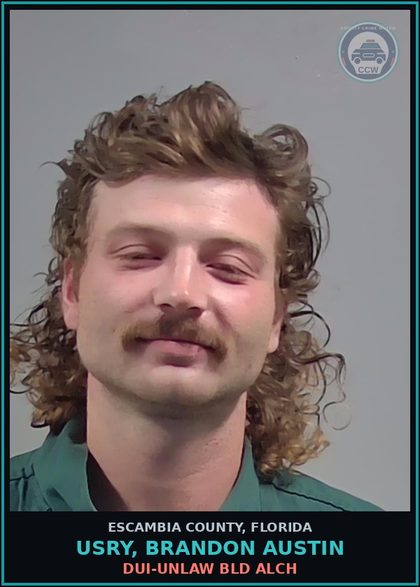 CCW arrest card for USRY, BRANDON AUSTIN in Escambia County: DUI-UNLAW BLD ALCH