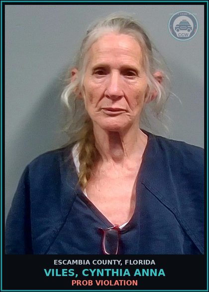 CCW arrest card for VILES, CYNTHIA ANNA in Escambia County: PROB VIOLATION