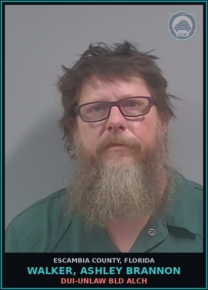 CCW arrest card for WALKER, ASHLEY BRANNON in Escambia County: DUI-UNLAW BLD ALCH