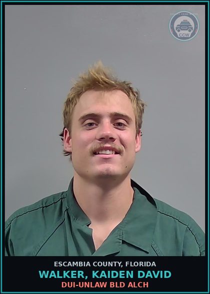 CCW arrest card for WALKER, KAIDEN DAVID in Escambia County: DUI-UNLAW BLD ALCH