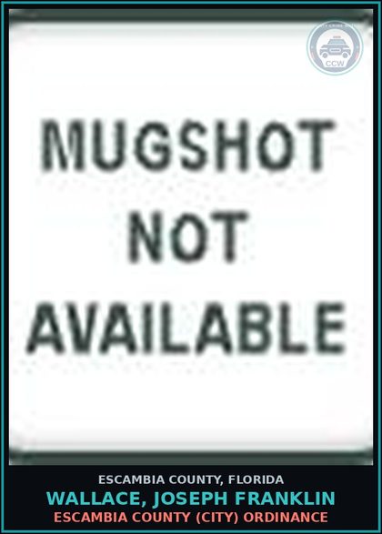 CCW arrest card for WALLACE, JOSEPH FRANKLIN in Escambia County: ESCAMBIA COUNTY (CITY) ORDINANCE