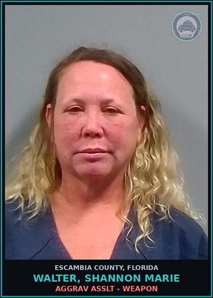 CCW arrest card for WALTER, SHANNON MARIE in Escambia County: AGGRAV ASSLT - WEAPON