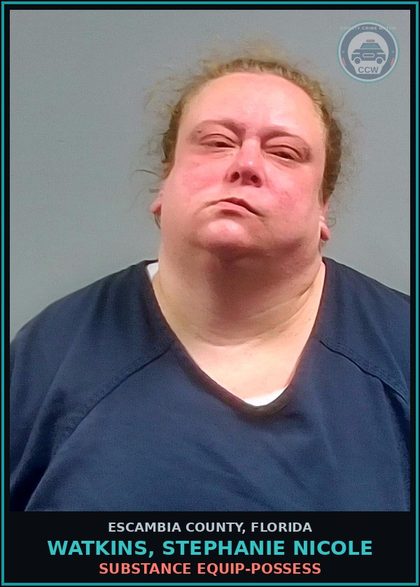 CCW arrest card for WATKINS, STEPHANIE NICOLE in Escambia County: DRUG EQUIP-POSSESS