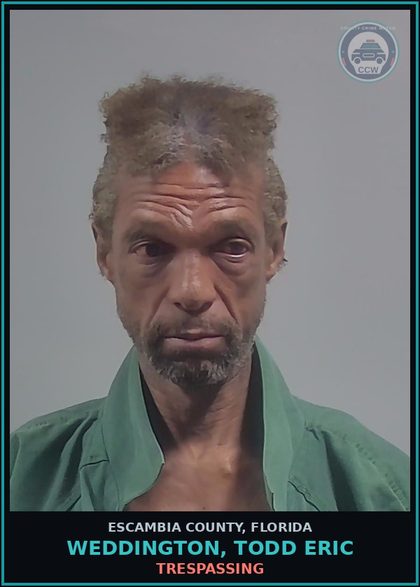 CCW arrest card for WEDDINGTON, TODD ERIC in Escambia County: TRESPASSING