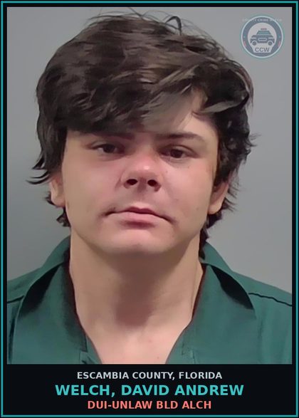 CCW arrest card for WELCH, DAVID ANDREW in Escambia County: DUI-UNLAW BLD ALCH