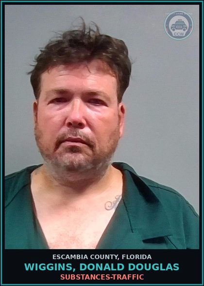 CCW arrest card for WIGGINS, DONALD DOUGLAS in Escambia County: DRUGS-TRAFFIC
