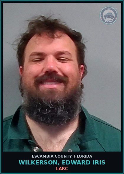 CCW arrest card for WILKERSON, EDWARD IRIS in Escambia County: LARC