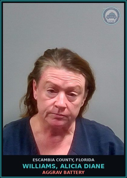 CCW arrest card for WILLIAMS, ALICIA DIANE in Escambia County: AGGRAV BATTERY