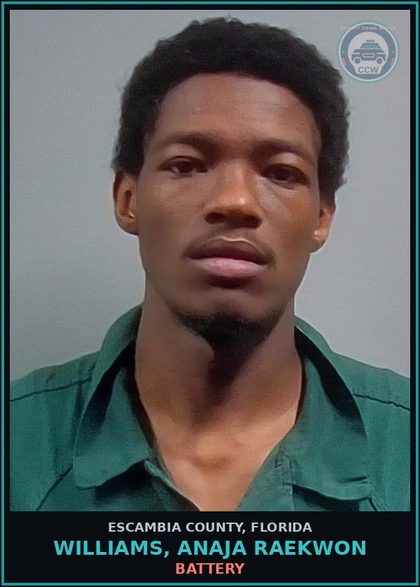 CCW arrest card for WILLIAMS, ANAJA RAEKWON in Escambia County: RESIST OFFICER