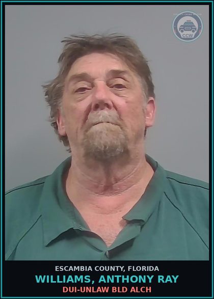 CCW arrest card for WILLIAMS, ANTHONY RAY in Escambia County: DUI-UNLAW BLD ALCH