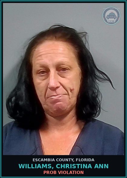 CCW arrest card for WILLIAMS, CHRISTINA ANN in Escambia County: PROB VIOLATION