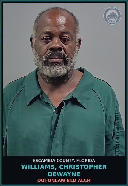 CCW arrest card for WILLIAMS, CHRISTOPHER DEWAYNE in Escambia County: DUI-UNLAW BLD ALCH