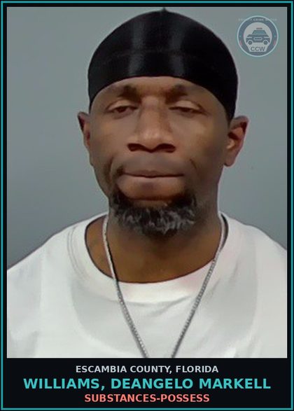 CCW arrest card for WILLIAMS, DEANGELO MARKELL in Escambia County: DRUGS-POSSESS