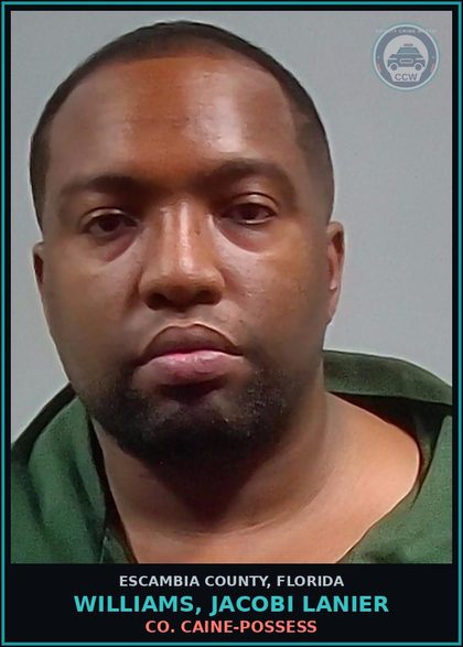 CCW arrest card for WILLIAMS, JACOBI LANIER in Escambia County: COCAINE-POSSESS