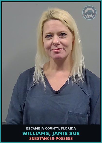 CCW arrest card for WILLIAMS, JAMIE SUE in Escambia County: DRUGS-POSSESS