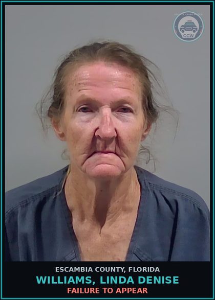 CCW arrest card for WILLIAMS, LINDA DENISE in Escambia County: FAILURE TO APPEAR