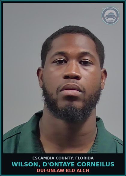 CCW arrest card for WILSON, D'ONTAYE CORNEILUS in Escambia County: DUI-UNLAW BLD ALCH