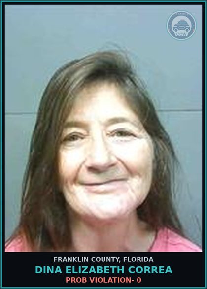 CCW arrest card for Dina Elizabeth Correa in Franklin County: PROB VIOLATION- 0