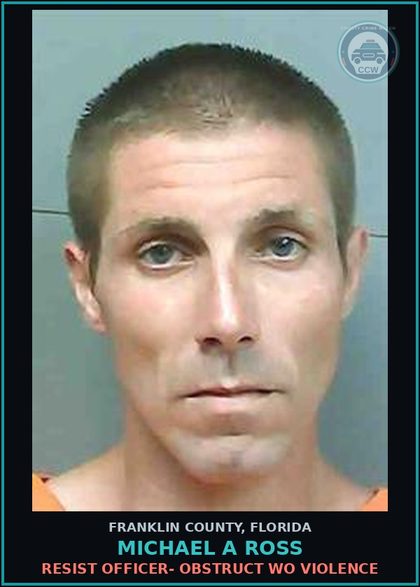 CCW arrest card for Michael A Ross in Franklin County: RESIST OFFICER- OBSTRUCT WO VIOLENCE