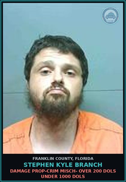 CCW arrest card for Stephen Kyle Branch in Franklin County: DAMAGE PROP-CRIM MISCH- OVER 200 DOLS UNDER 1000 DOLS