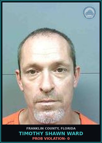 CCW arrest card for Timothy Shawn Ward in Franklin County: PROB VIOLATION- 0