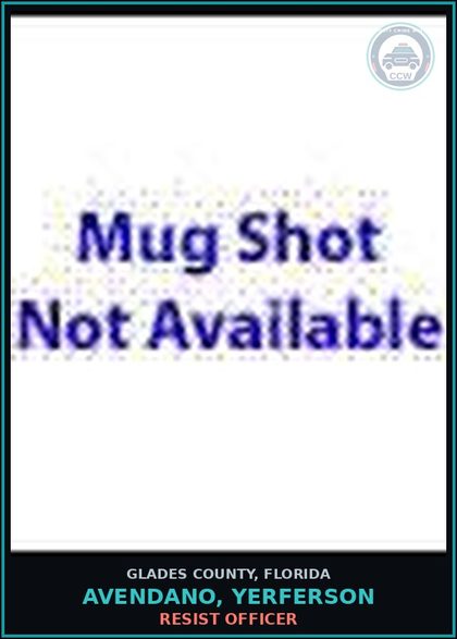 CCW arrest card for AVENDANO, YERFERSON in Glades County: RESIST OFFICER