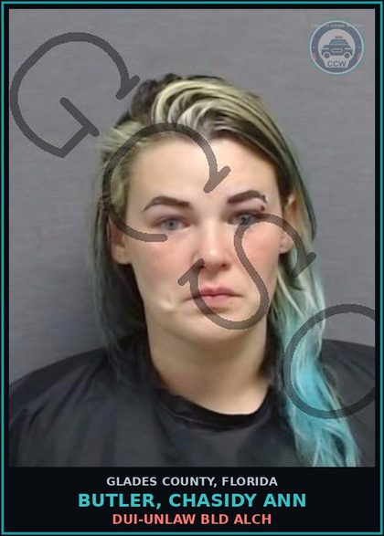 CCW arrest card for BUTLER, CHASIDY ANN in Glades County: DUI-UNLAW BLD ALCH