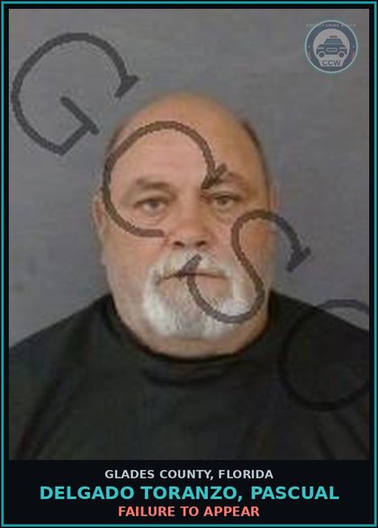 CCW arrest card for DELGADO TORANZO, PASCUAL in Glades County: FAILURE TO APPEAR