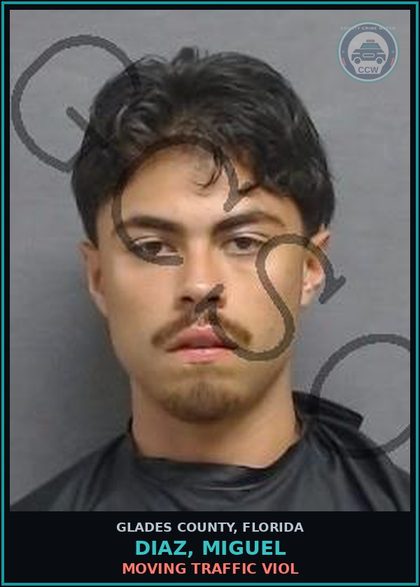 CCW arrest card for DIAZ, MIGUEL in Glades County: MOVING TRAFFIC VIOL