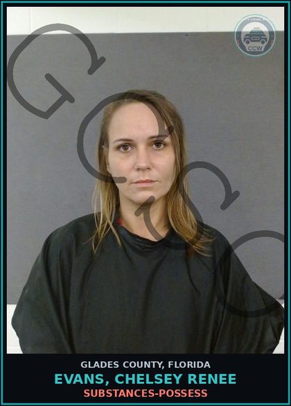 CCW arrest card for EVANS, CHELSEY RENEE in Glades County: DRUGS-POSSESS