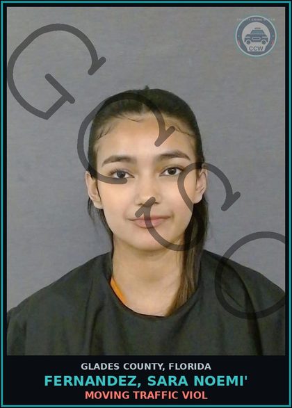 CCW arrest card for FERNANDEZ, SARA NOEMI' in Glades County: MOVING TRAFFIC VIOL