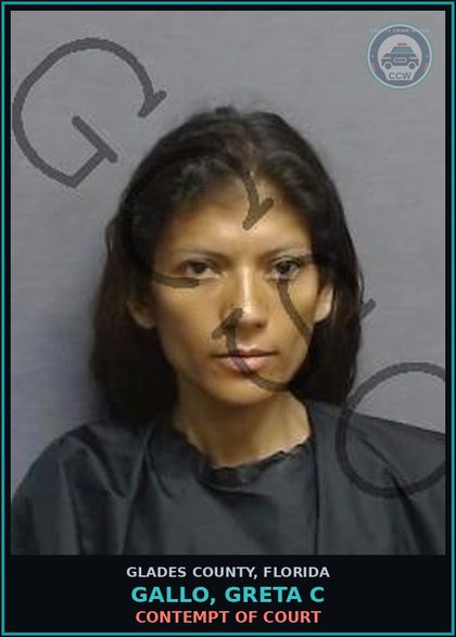 CCW arrest card for GALLO, GRETA C in Glades County: CONTEMPT OF COURT