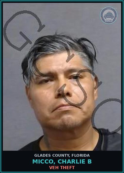 CCW arrest card for MICCO, CHARLIE B in Glades County: VEH THEFT