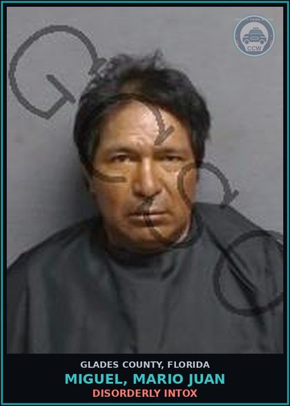 CCW arrest card for MIGUEL, MARIO JUAN in Glades County: DISORDERLY INTOX