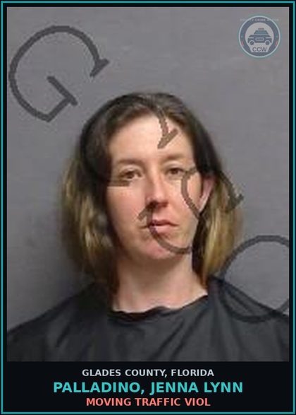 CCW arrest card for PALLADINO, JENNA LYNN in Glades County: MOVING TRAFFIC VIOL