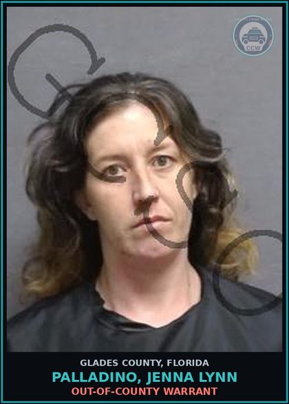 CCW arrest card for PALLADINO, JENNA LYNN in Glades County: OUT-OF-COUNTY WARRANT