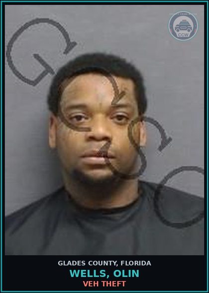 CCW arrest card for WELLS, OLIN in Glades County: VEH THEFT