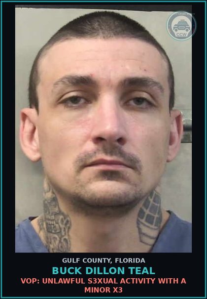 CCW arrest card for BUCK DILLON TEAL in Gulf County: VOP: UNLAWFUL s3xual ACTIVITY WITH A MINOR X3