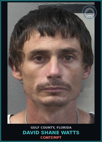 CCW arrest card for DAVID SHANE WATTS in Gulf County: CONTEMPT