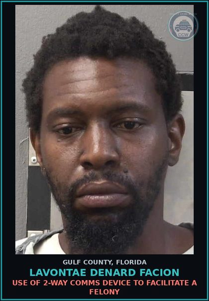 CCW arrest card for LAVONTAE DENARD FACION in Gulf County: USE OF COMPUTER TO SEDUCE SOLICIT LURE chld