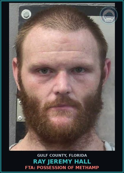 CCW arrest card for RAY JEREMY HALL in Gulf County: FTA: POSSESSION OF Methamp