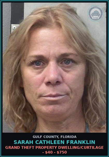 CCW arrest card for SARAH CATHLEEN FRANKLIN in Gulf County: GRAND THEFT PROPERTY DWELLING/CURTILAGE - $40 - $750