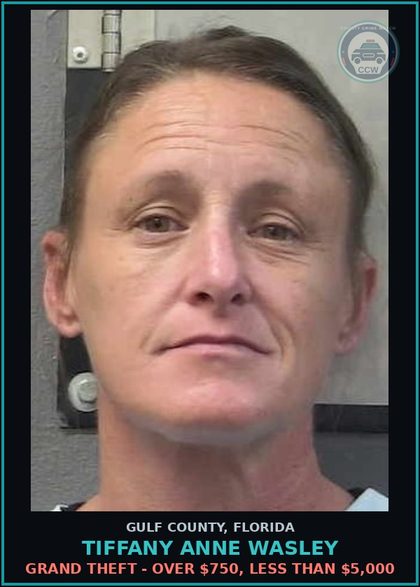 CCW arrest card for TIFFANY ANNE WASLEY in Gulf County: GRAND THEFT - OVER $750, LESS THAN $5,000