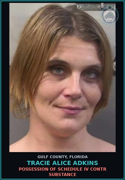 CCW arrest card for TRACIE ALICE ADKINS in Gulf County: POSSESSION OF SCHEDULE IV contr substance