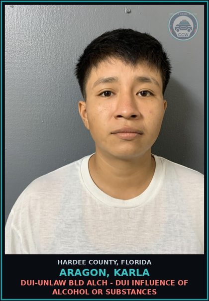 CCW arrest card for Aragon, Karla in Hardee County: MOVING TRAFFIC VIOL - OPERATE MOTOR VEHICLE WO VALID LICENSE