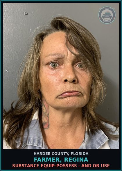 CCW arrest card for Farmer, Regina in Hardee County: SUBSTANCE EQUIP-POSSESS - AND OR USE
