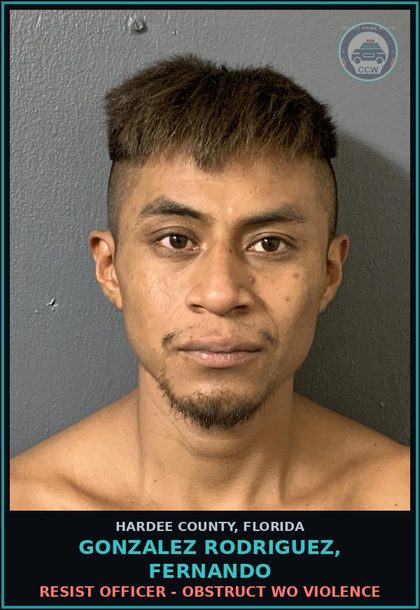 CCW arrest card for Gonzalez Rodriguez, Fernando in Hardee County: CANNA-POSSESS - NOT MORE THAN 20 GRAMS