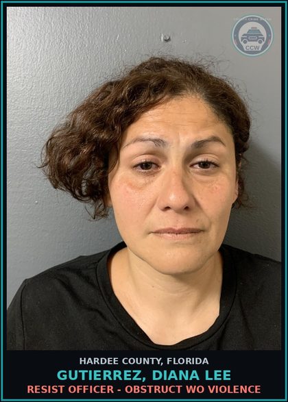 CCW arrest card for Gutierrez, Diana Lee in Hardee County: PUBLIC ORDER CRIMES - USE 911 OR E911 FALSE ALARM OR INFO